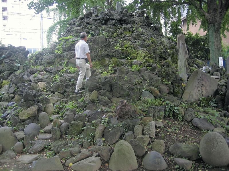 ⛩️ 비둘기 숲 하치만 신사 (하토노모리 하치만 진자) 이미지 6